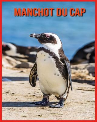 Book cover for Manchot du Cap