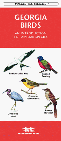 Book cover for Georgia Birds