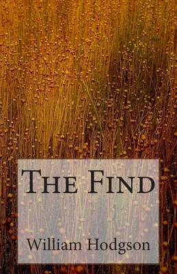 Book cover for The Find