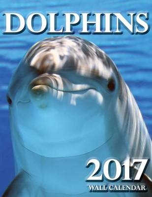 Book cover for Dolphins 2017 Wall Calendar