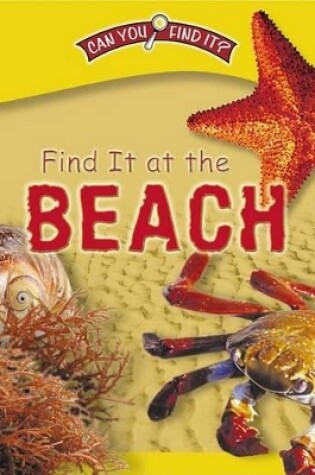 Cover of Find It at the Beach