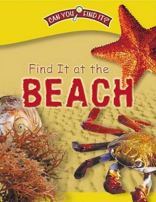 Cover of Find It at the Beach