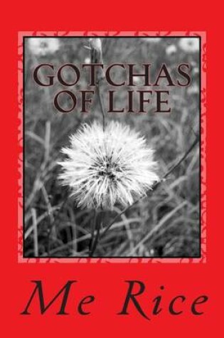 Cover of Gotchas of Life