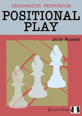 Cover of Positional Play