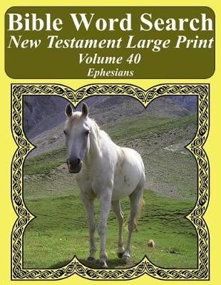 Book cover for Bible Word Search New Testament Large Print Volume 40