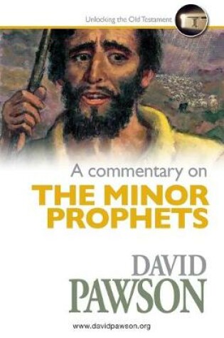 Cover of A Commentary on The Minor Prophets