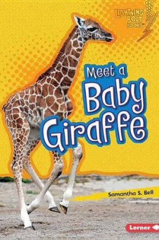 Cover of Meet a Baby Giraffe