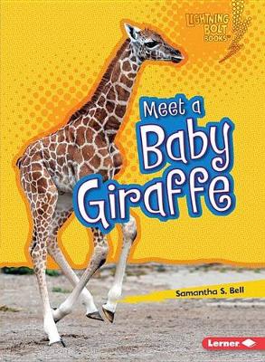 Book cover for Meet a Baby Giraffe