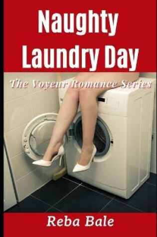 Cover of Naughty Laundry Day