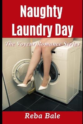 Book cover for Naughty Laundry Day