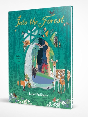 Book cover for Into the Forest (HB)