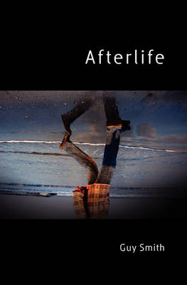 Book cover for Afterlife