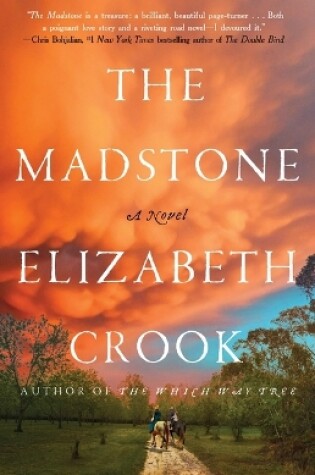 Cover of The Madstone