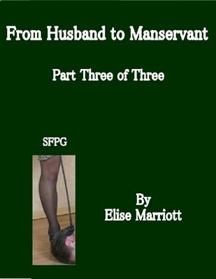 Book cover for From Husband to Manservant - Part Three of Three