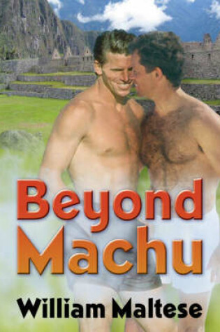 Cover of Beyond Machu