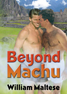 Book cover for Beyond Machu