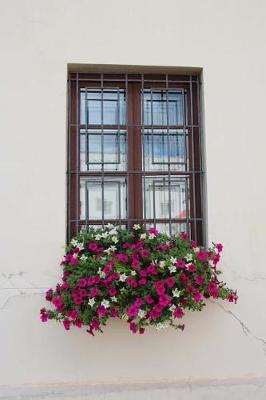 Book cover for White and Red Flowers in a Window Planter in Venice, Italy Journal