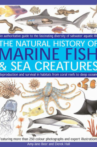 Cover of Marine Fish