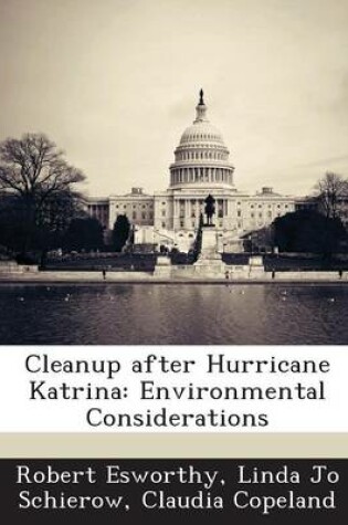 Cover of Cleanup After Hurricane Katrina