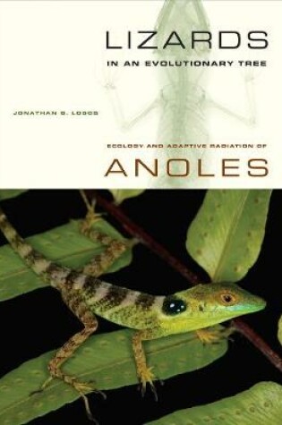 Cover of Lizards in an Evolutionary Tree