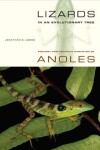 Book cover for Lizards in an Evolutionary Tree