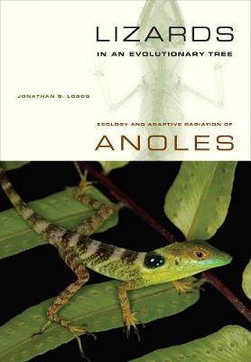 Cover of Lizards in an Evolutionary Tree
