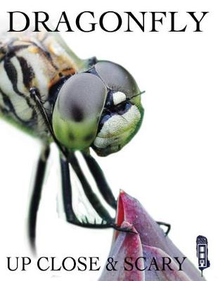 Cover of Dragonfly