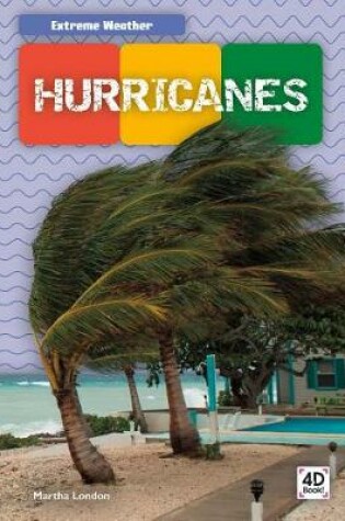 Cover of Hurricanes