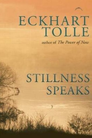 Cover of Stillness Speaks