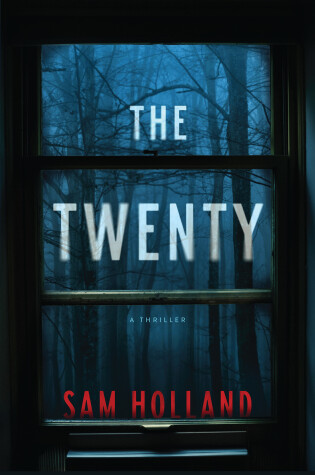 Book cover for The Twenty