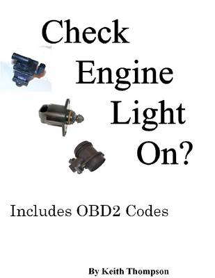 Book cover for Check Engine Light on?