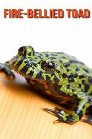 Cover of Fire-Bellied Toad