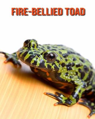 Book cover for Fire-Bellied Toad