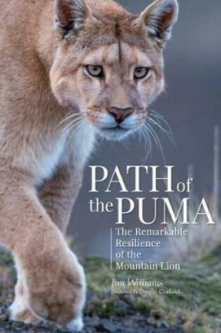 Cover of Path of the Puma