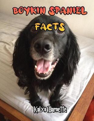 Book cover for Boykin Spaniel Facts