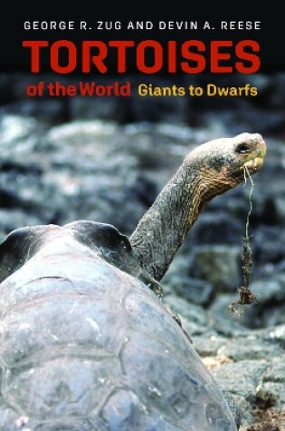 Cover of Tortoises of the World