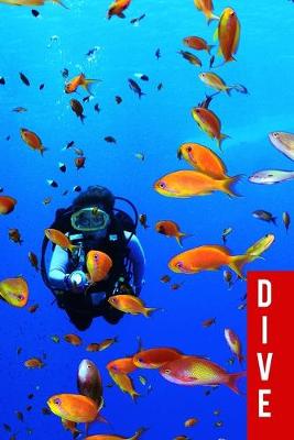 Book cover for dive