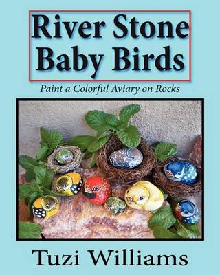 Book cover for River Stone Baby Birds