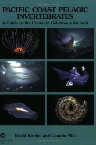 Cover of Pacific Coast Pelagic Invertebrates