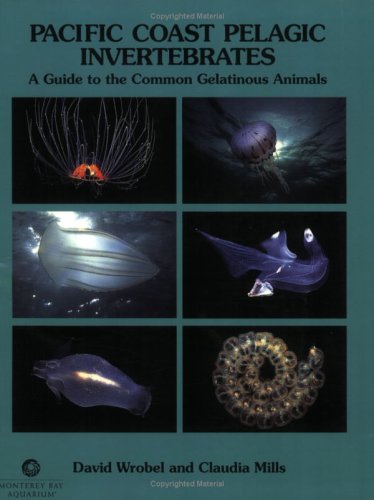 Book cover for Pacific Coast Pelagic Invertebrates