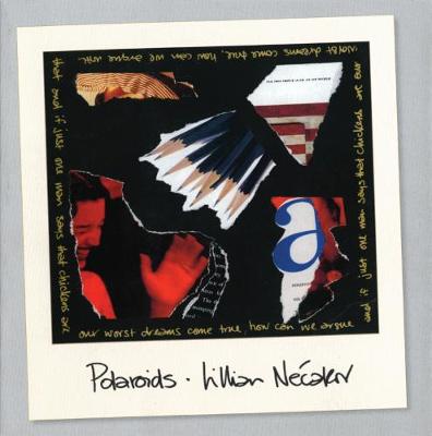 Book cover for Polaroids