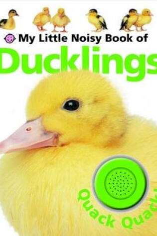 Cover of My Little Noisy Book of Ducklings