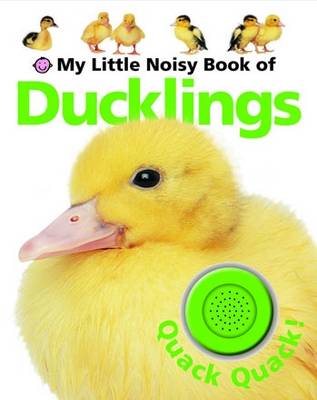 Book cover for My Little Noisy Book of Ducklings