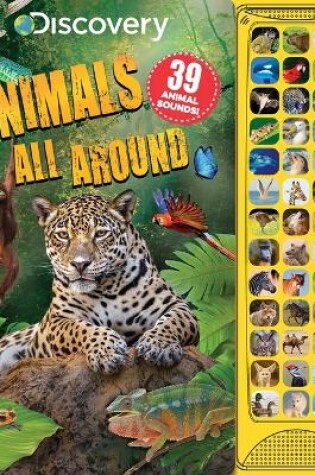 Cover of Discovery: Animals All Around