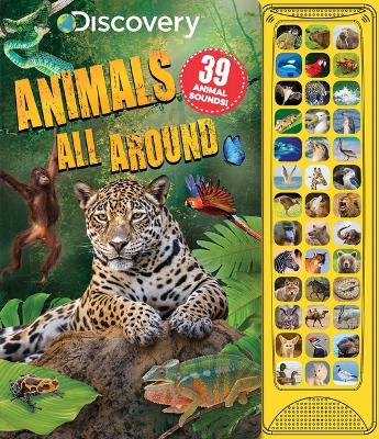 Book cover for Discovery: Animals All Around