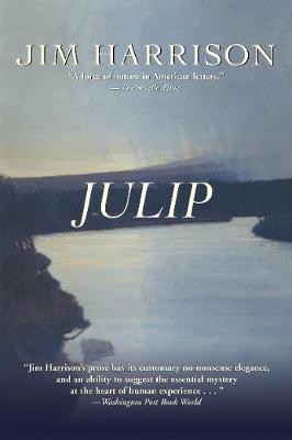 Book cover for Julip