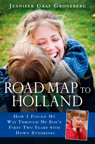 Cover of Road Map to Holland