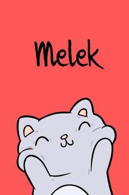 Book cover for Melek