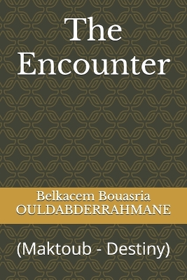 Book cover for The Encounter