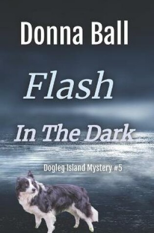 Cover of Flash in the Dark